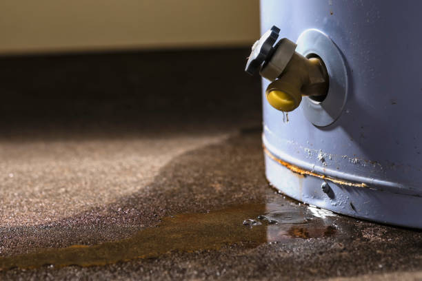 Best Commercial water damage restoration  in Cherry Hill Mall, NJ