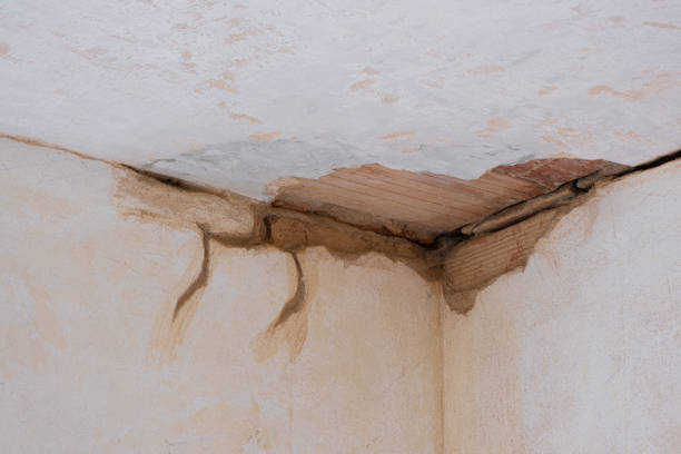 Carpet water damage restoration in Cherry Hill Mall, NJ
