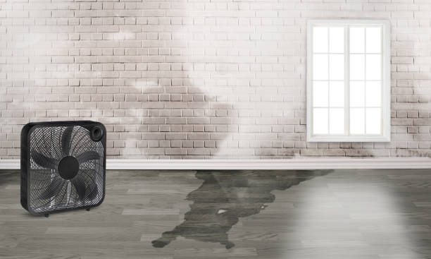 Best Ceiling water damage repair  in Cherry Hill Mall, NJ