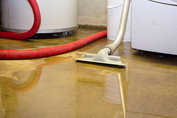 Best Sewage cleanup and water damage restoration  in Cherry Hill Mall, NJ