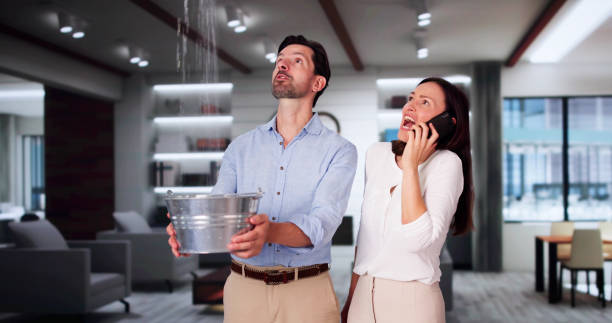 Best Flood damage cleanup  in Cherry Hill Mall, NJ