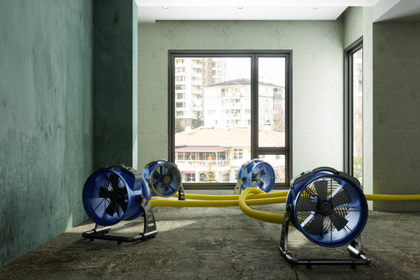Best Residential water damage restoration  in Cherry Hill Mall, NJ