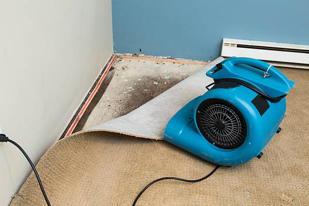Best Professional water damage repair  in Cherry Hill Mall, NJ